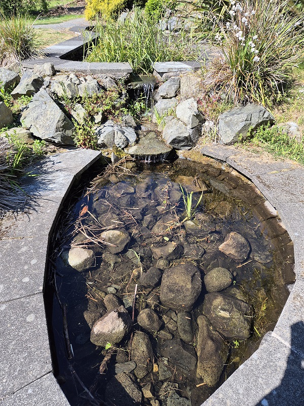 Spring Garden pond filled with water once more